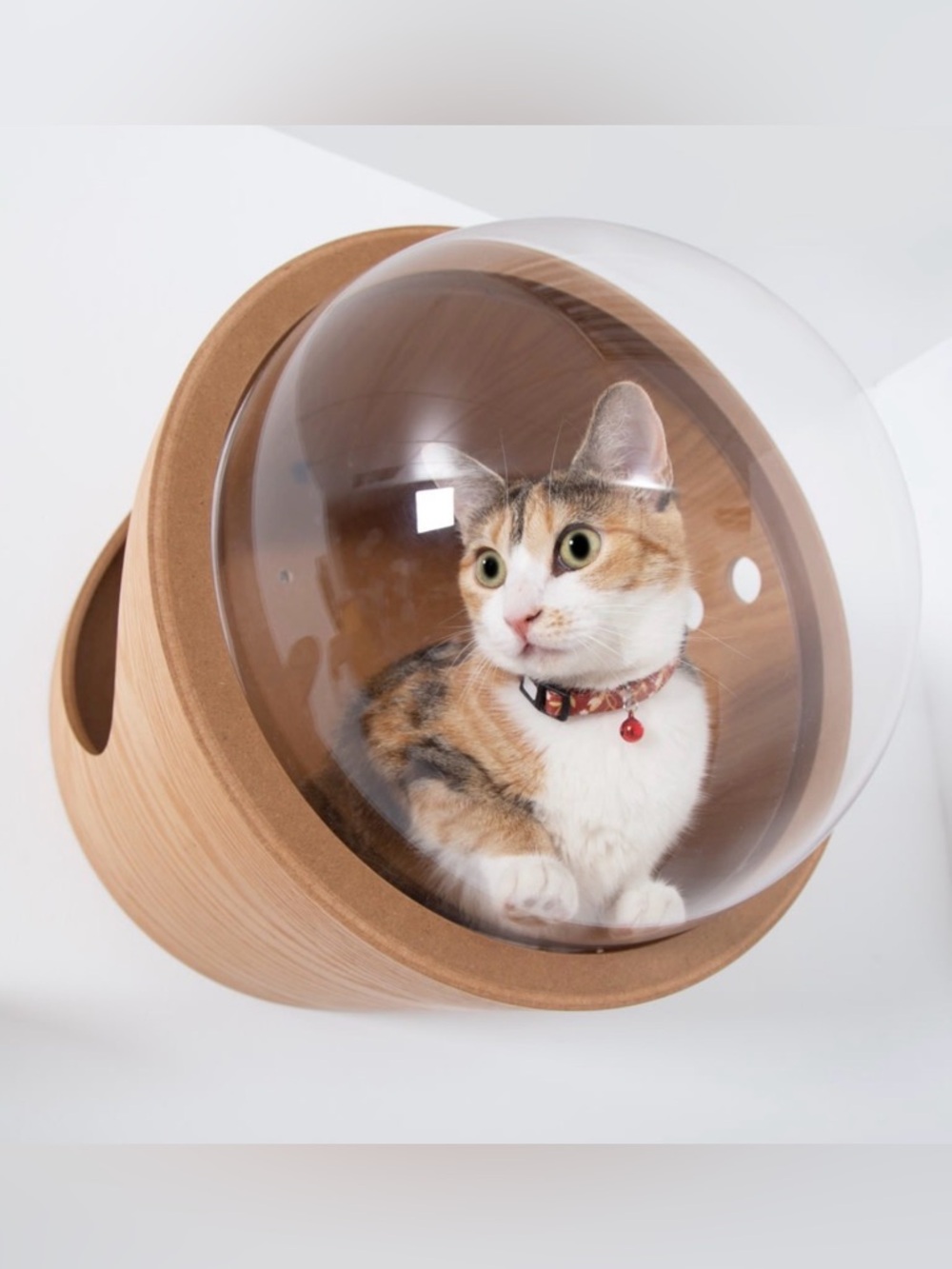 MyZoo Spaceship Gamma Wall Mounted Bubble Window Cat Bed